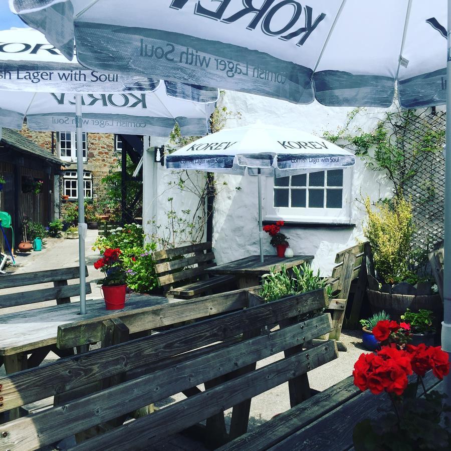 The Tree Inn Bude Esterno foto