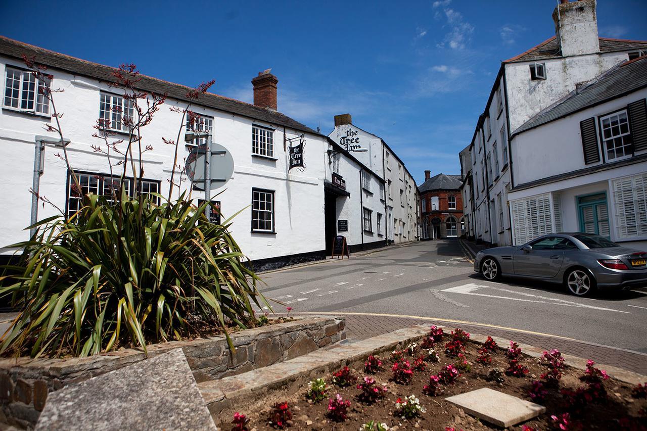The Tree Inn Bude Esterno foto