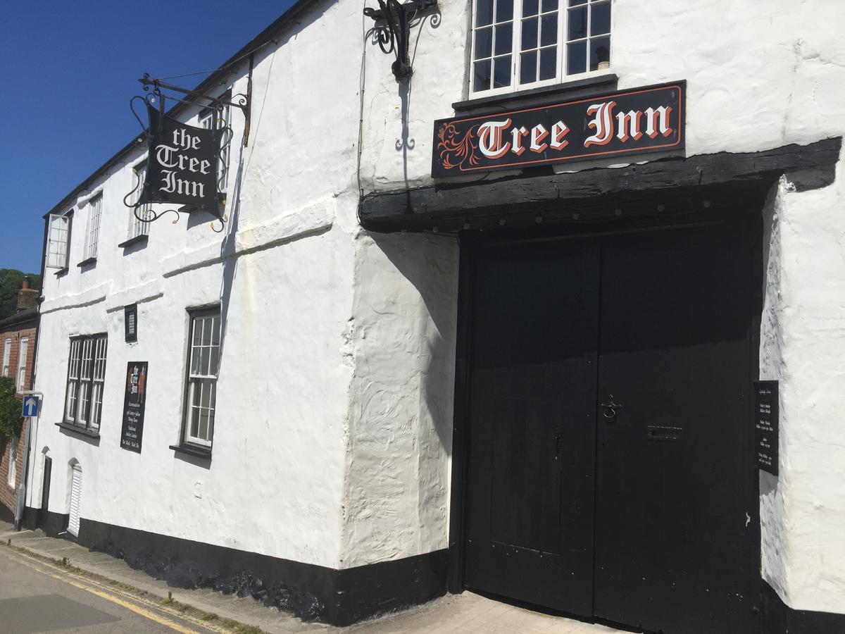 The Tree Inn Bude Esterno foto
