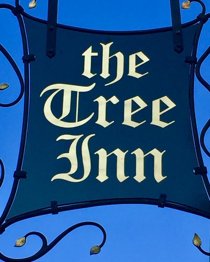 The Tree Inn Bude Esterno foto
