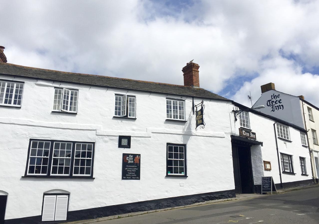 The Tree Inn Bude Esterno foto